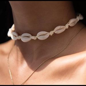 Puka shell 55cm from oceans of Hawaii